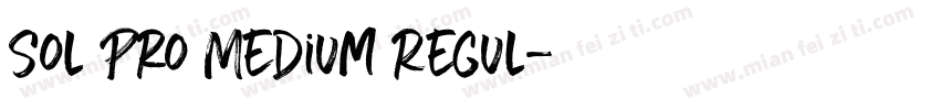 Sol Pro Medium Regul字体转换